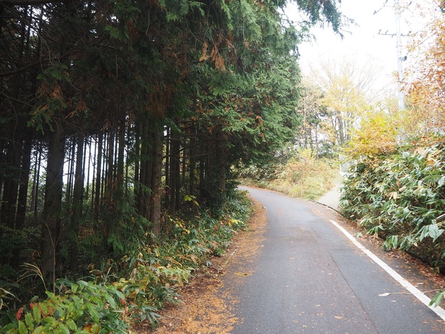 田之原展望台(山頂)への道