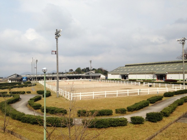 かなぎウエスタンライディングパーク・馬場