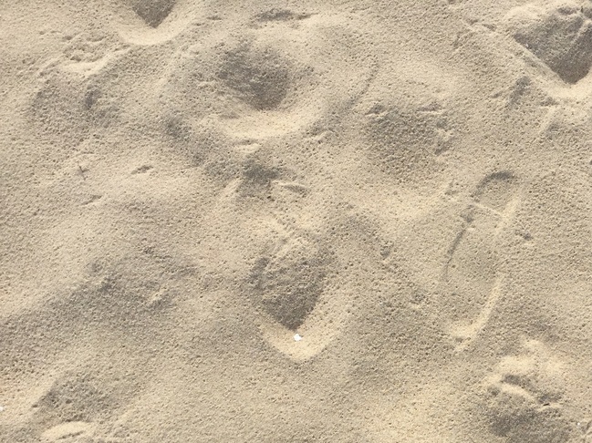 琴ヶ浜の砂