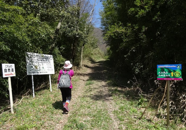 大江高山（山田登山口）