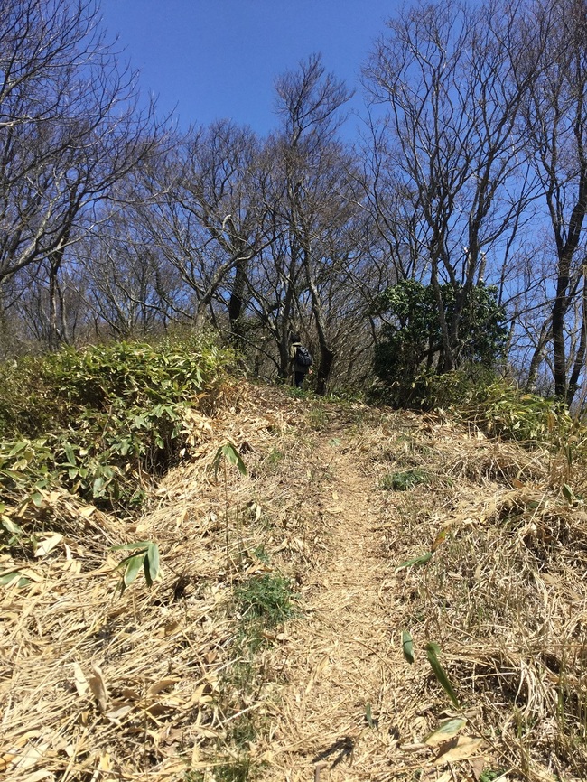 大江高山登山道（山田コース）