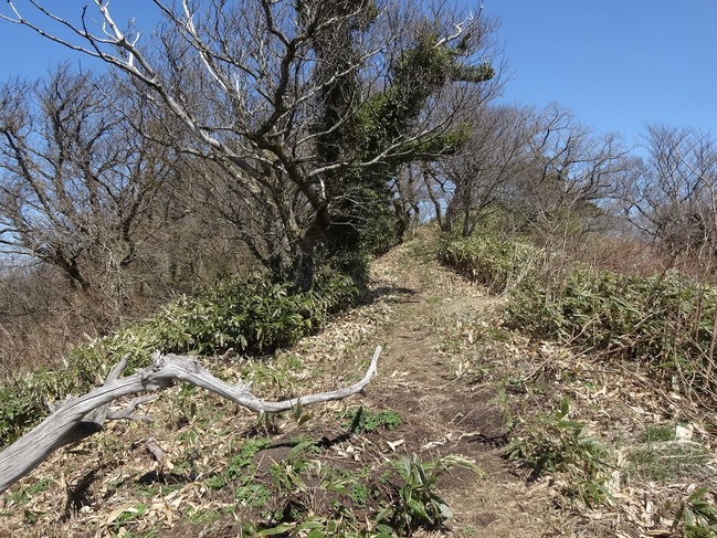 大江高山（馬の背）