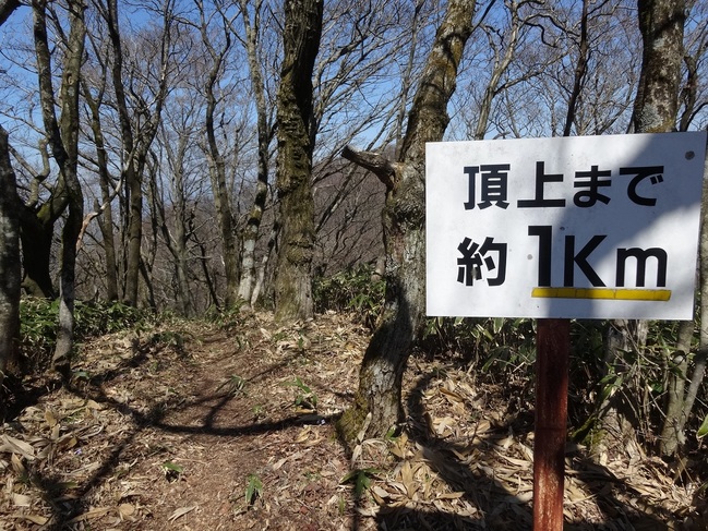 大江高山（馬の背）