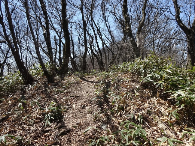 大江高山（馬の背）