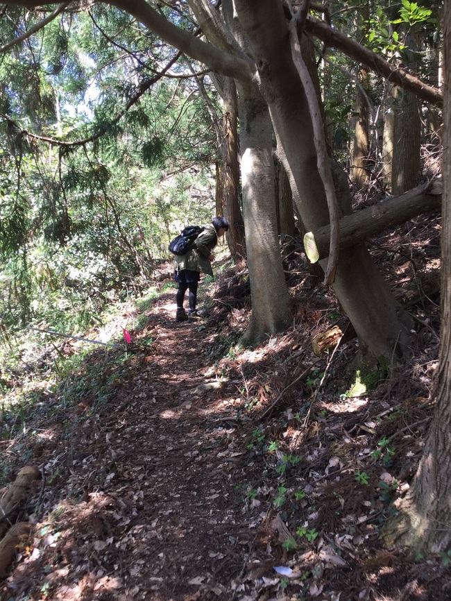 大江高山登山道（山田コース）