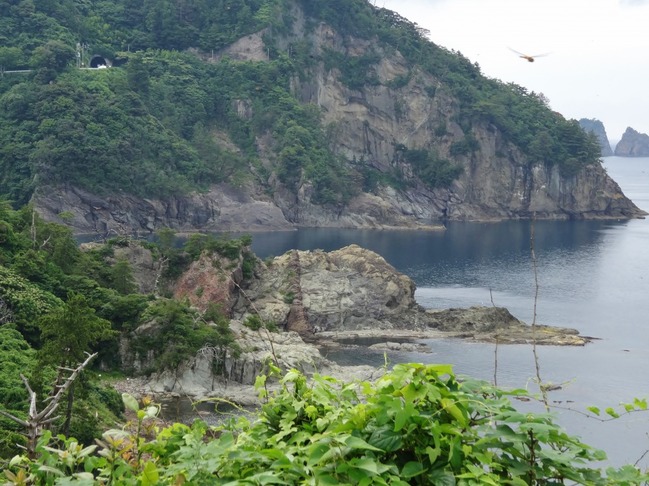 海岸周辺の地層・岩石