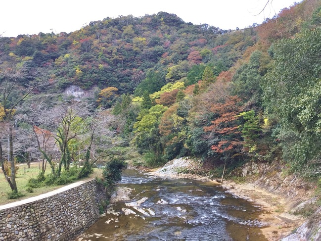 断魚公園入口の橋からの景色