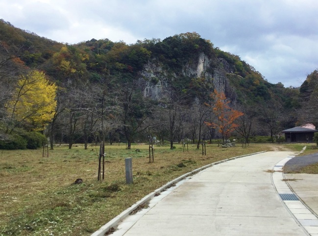 断魚公園からの景色