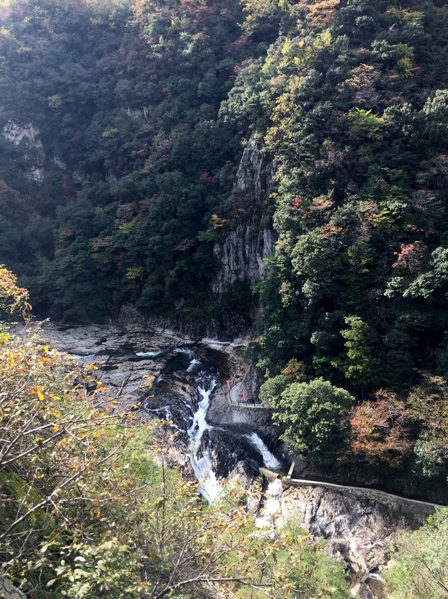 町道から見下ろす断魚渓