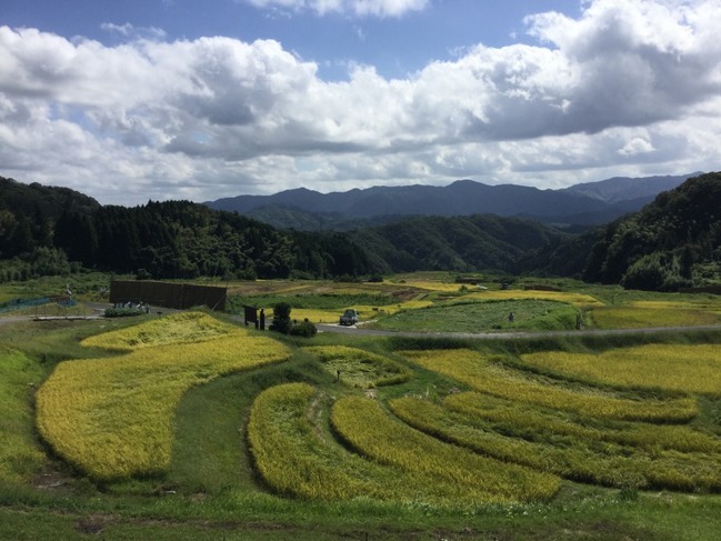 山王寺の棚田