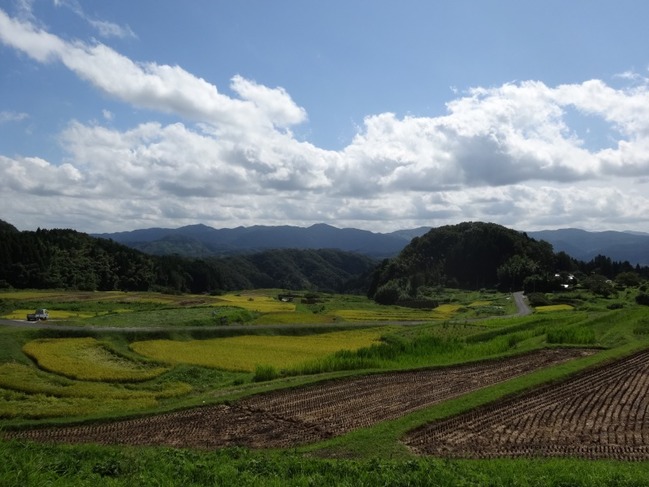 山王寺の棚田