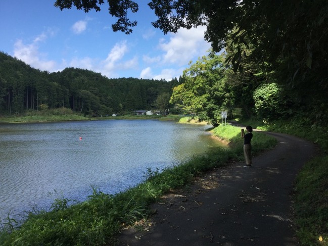 まるで湖畔