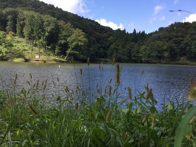 湖畔のような景色