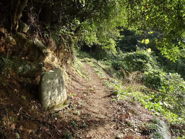 八雲山登山道