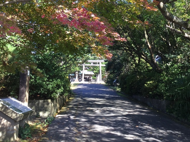 水若酢神社参道