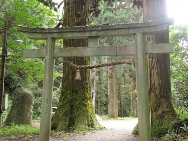 壇鏡の滝（壇鏡神社）入口の鳥居と夫婦杉