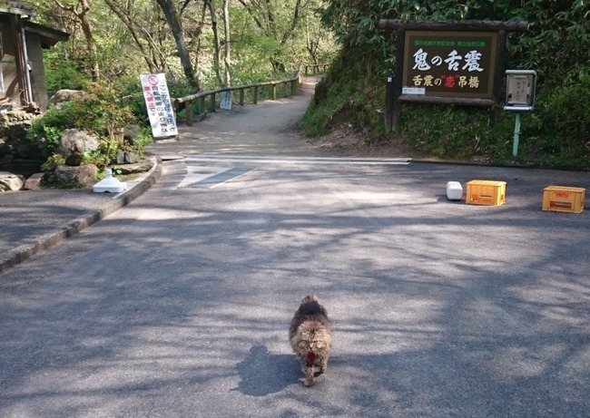 ようこそ」とネコが迎えてくれました