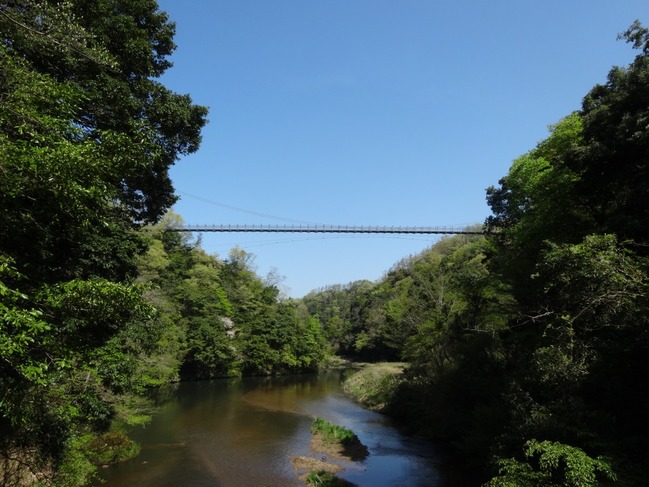 舌震恋吊橋