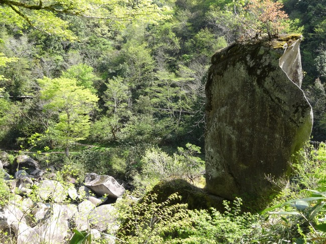 水瓶岩