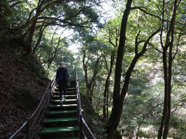 以前からの遊歩道