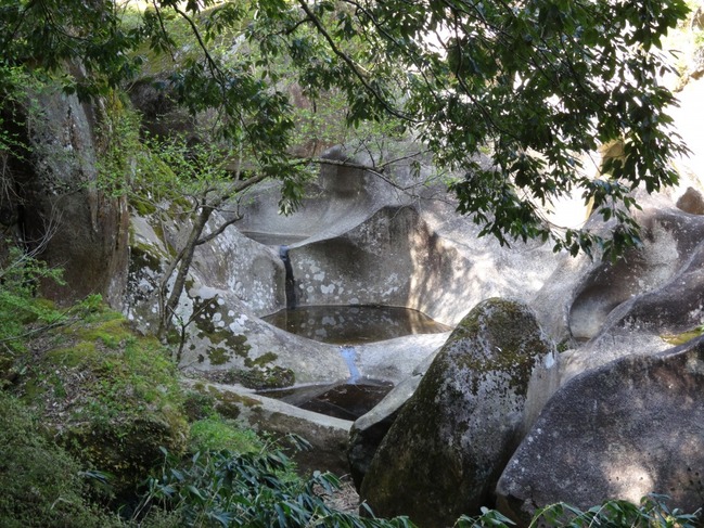 雨壺