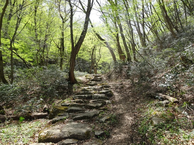 石畳の山道