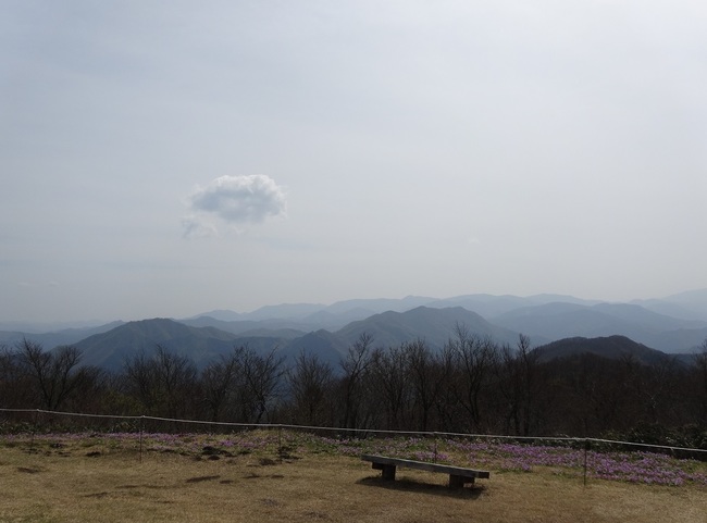 船通山の山頂