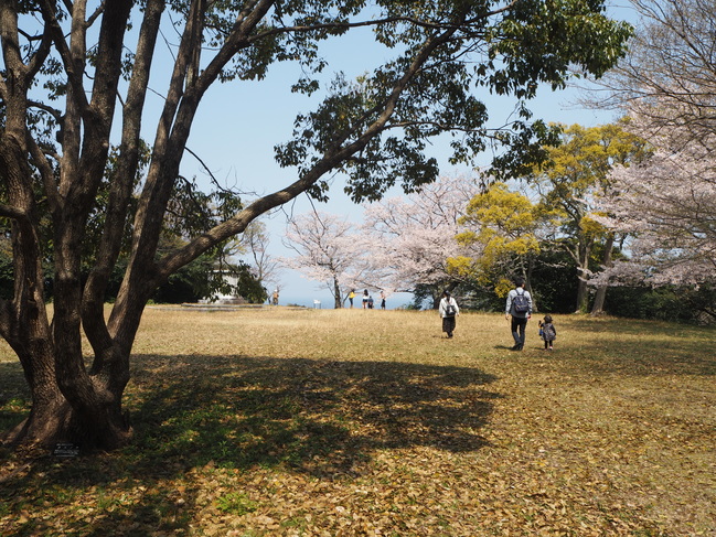 浜田城跡