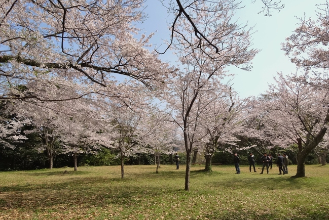 浜田城山公園