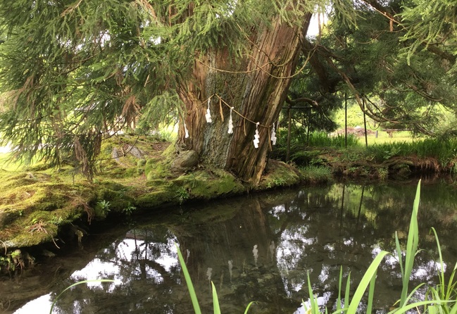 水源公園