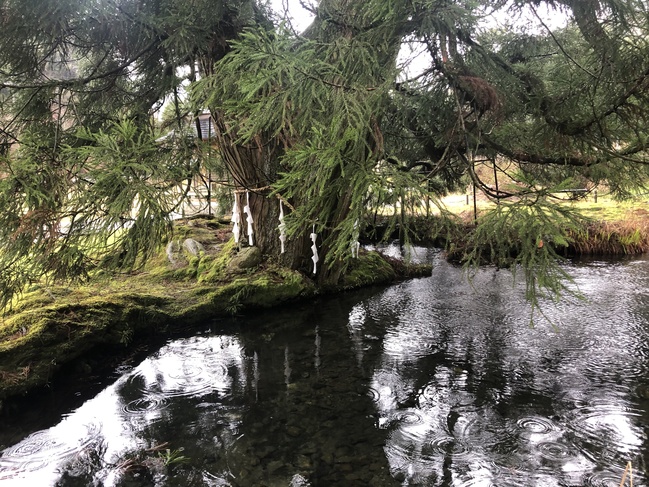 水源公園