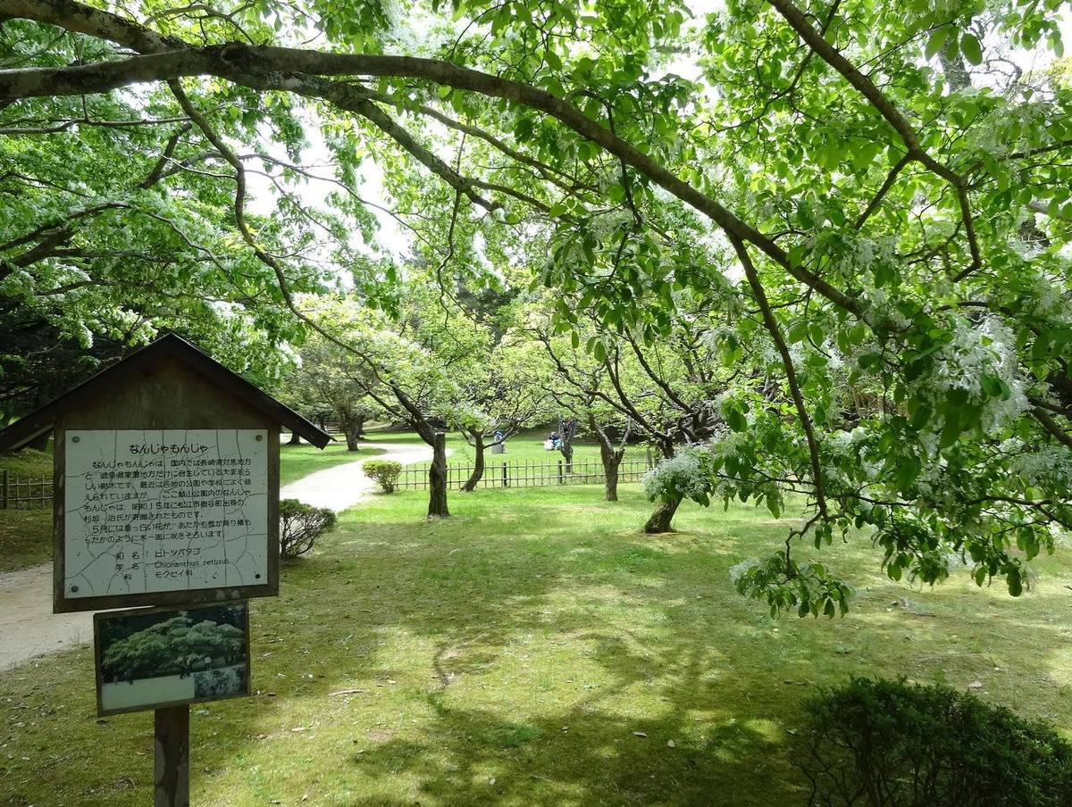 松江城山公園内