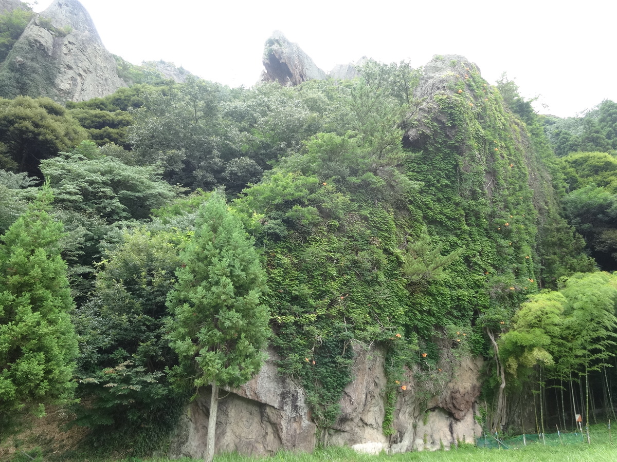 龍厳山という岩肌の露出した山