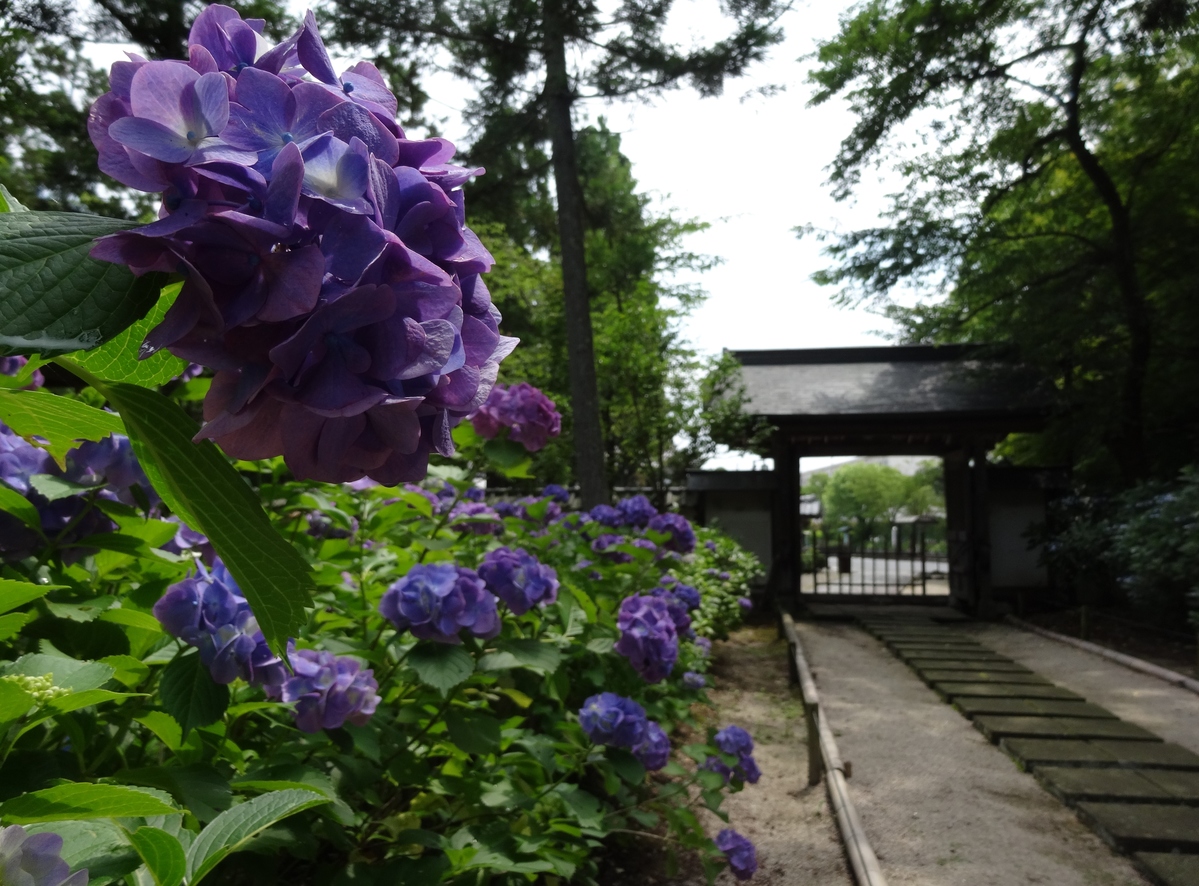 月照寺