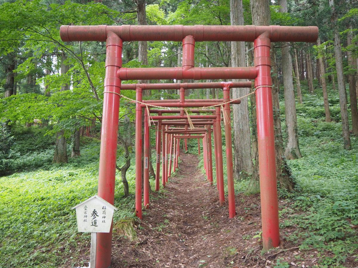 愛宕神社 稲荷神社への参道。赤い鳥居と緑が気持ちの良い参道です。