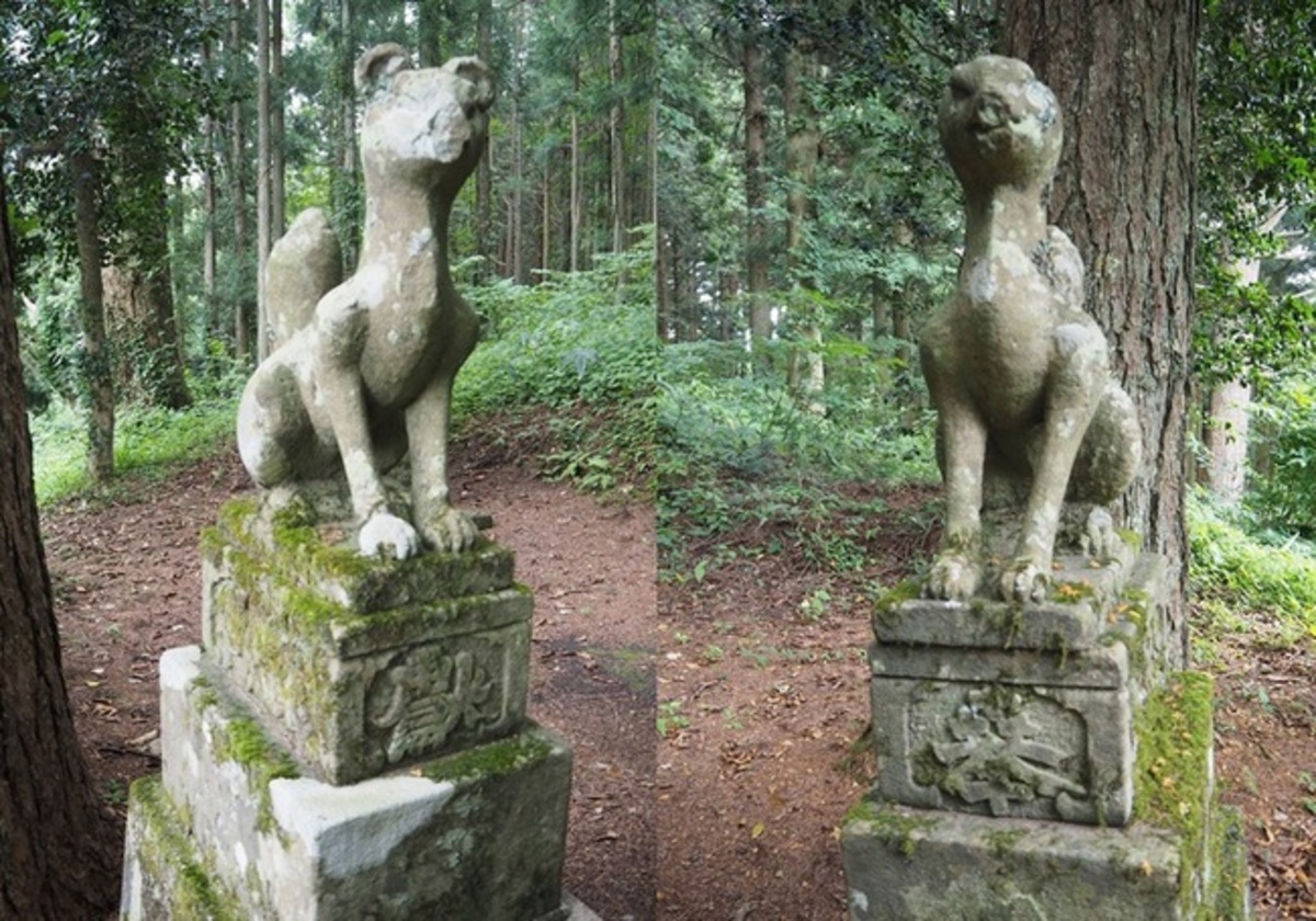 由來八幡宮境内の稲荷神社（石狐）