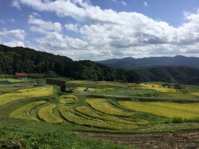 山王寺棚田