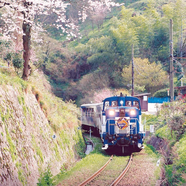 トロッコ列車