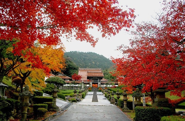 秋の龍雲寺
