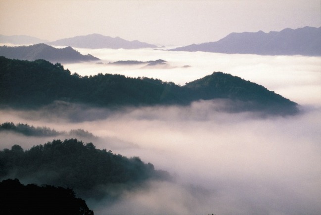 三瓶山の雲海