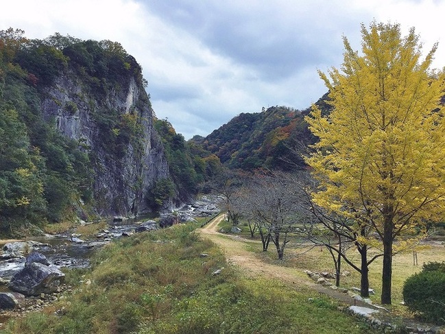 断魚渓