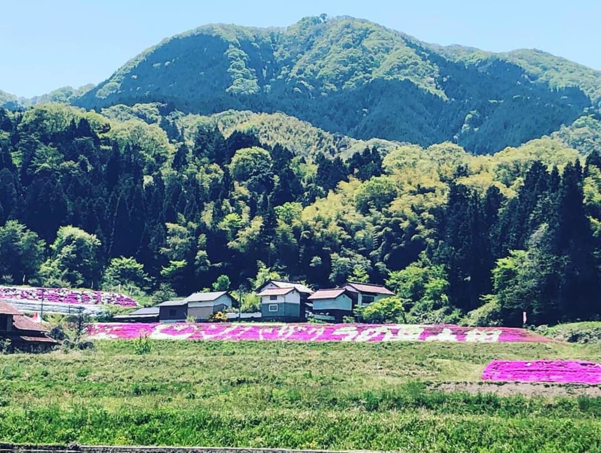 “シバザクラの里永田”