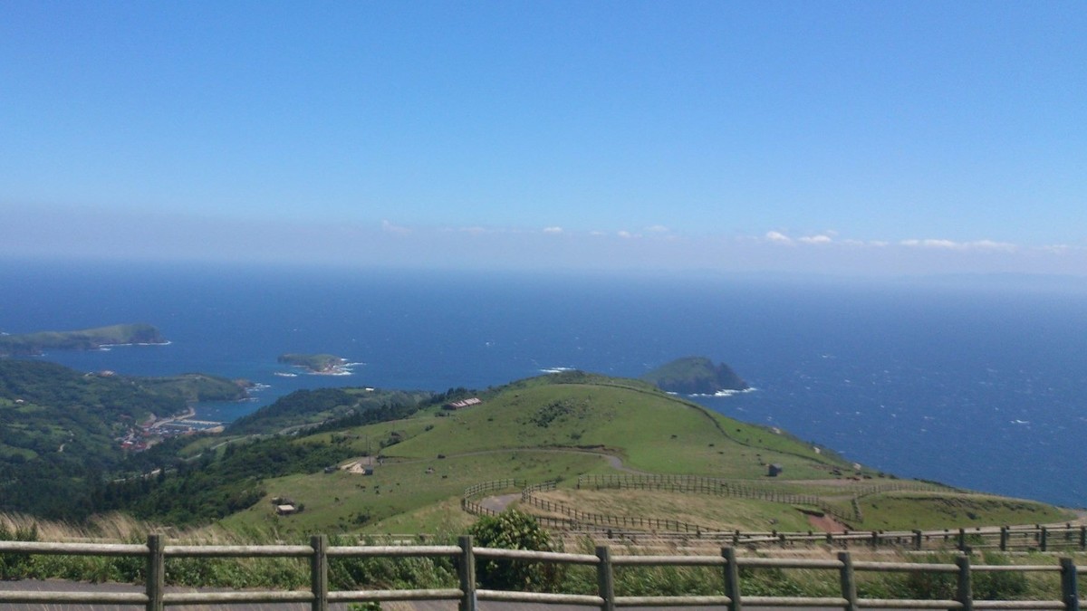 赤ハゲ山山頂から。黒く見えるのが牛たち。