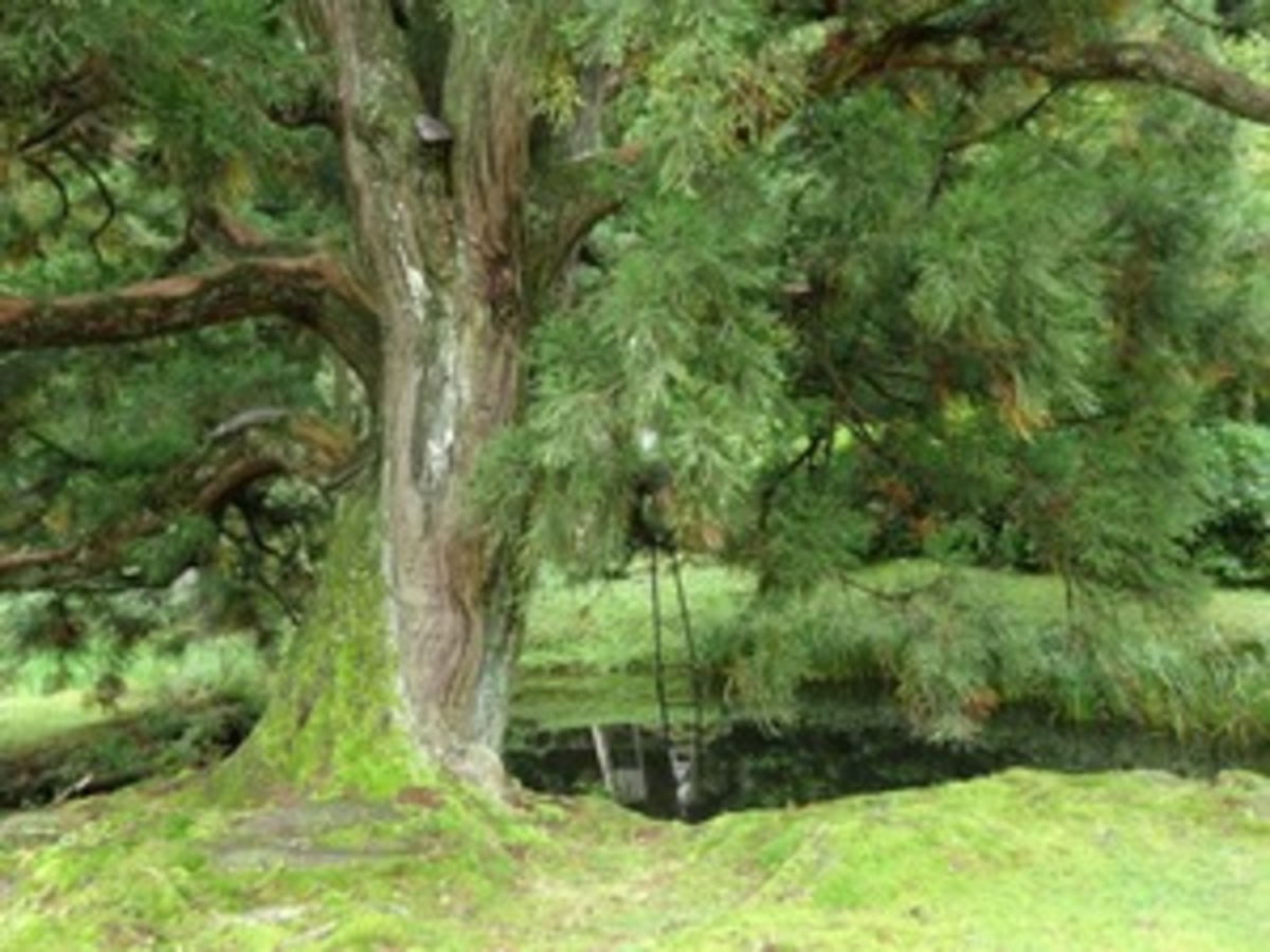 水源公園