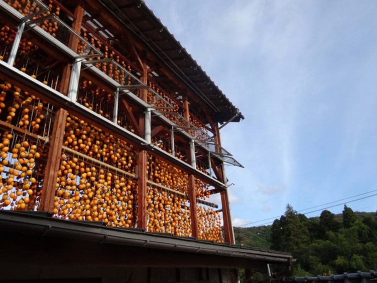 畑地区の柿小屋