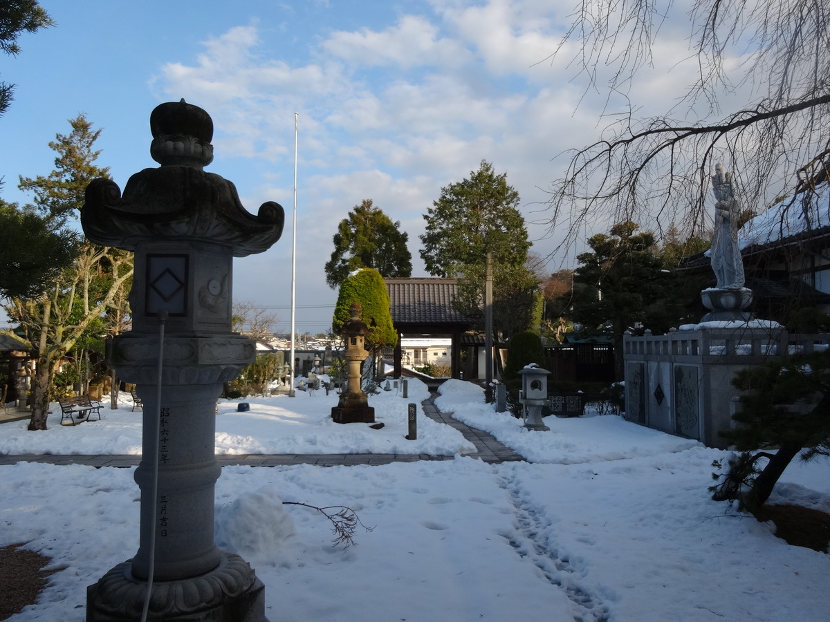 雪が積もって綺麗。