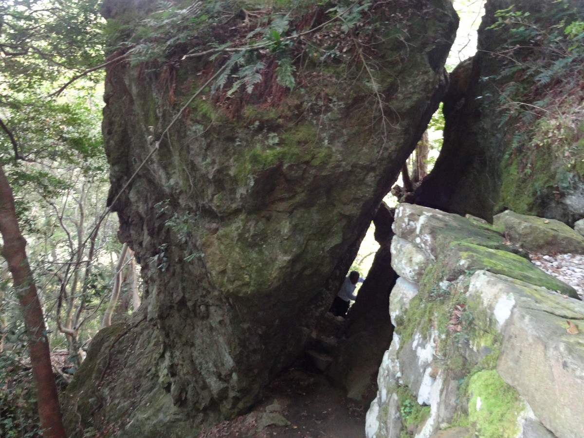 岩の割れ目