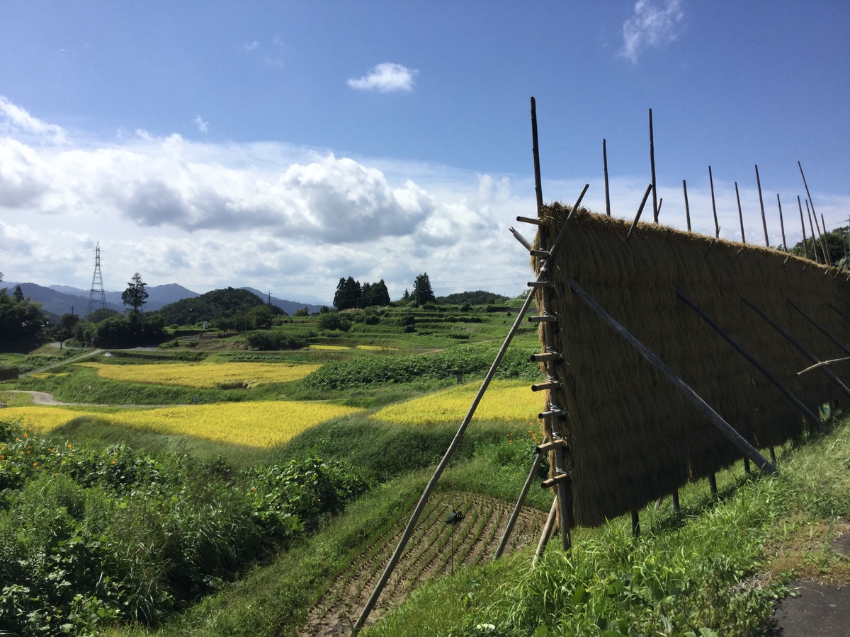 山王寺の棚田