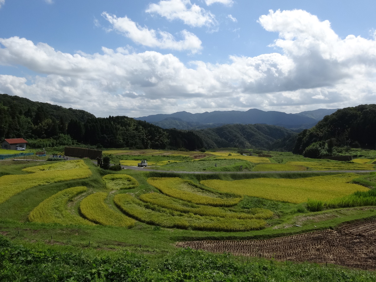 山王寺の棚田