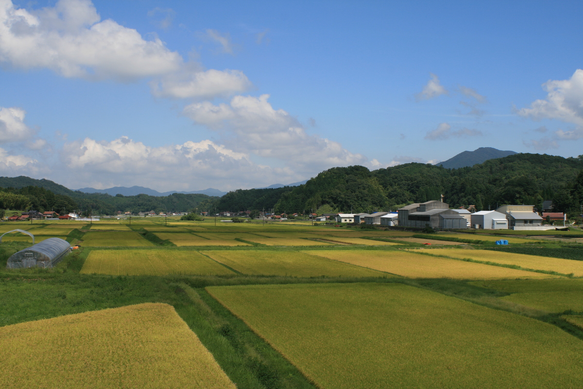 田園風景 しまねまちなび